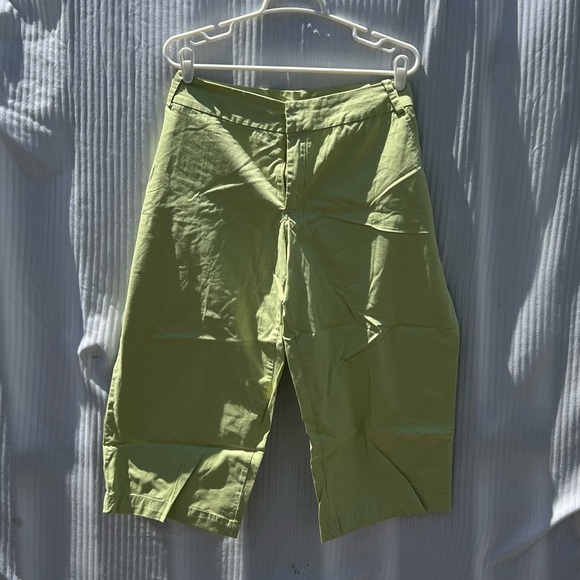 Avenue Pants - EUC Pear/Light Green Capris